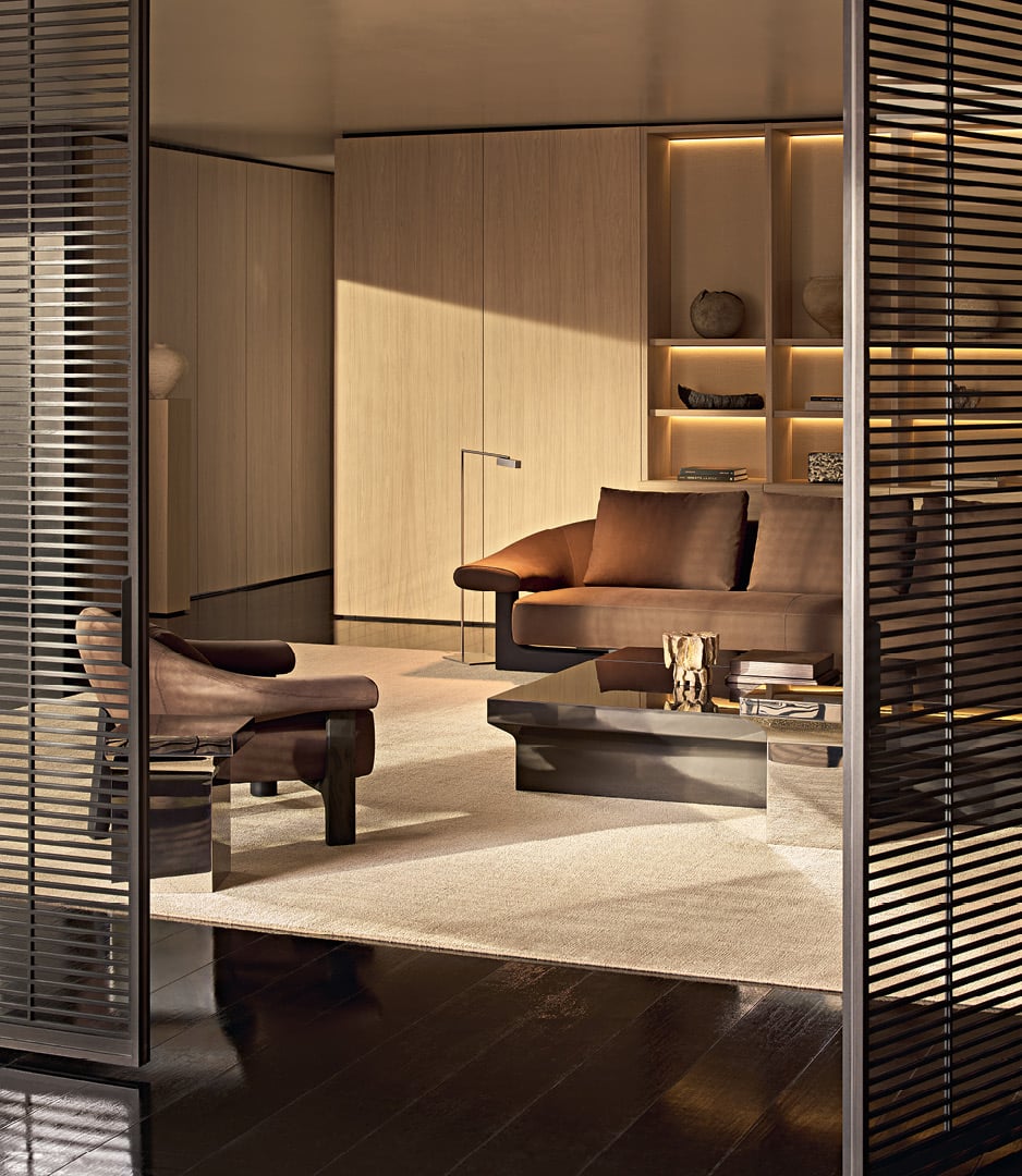 Modern living room with Owen leather sofa and armchair, Joan coffee tables, wall system and wooden bookcase.